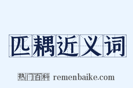 匹耦近义词是什么意思的图片